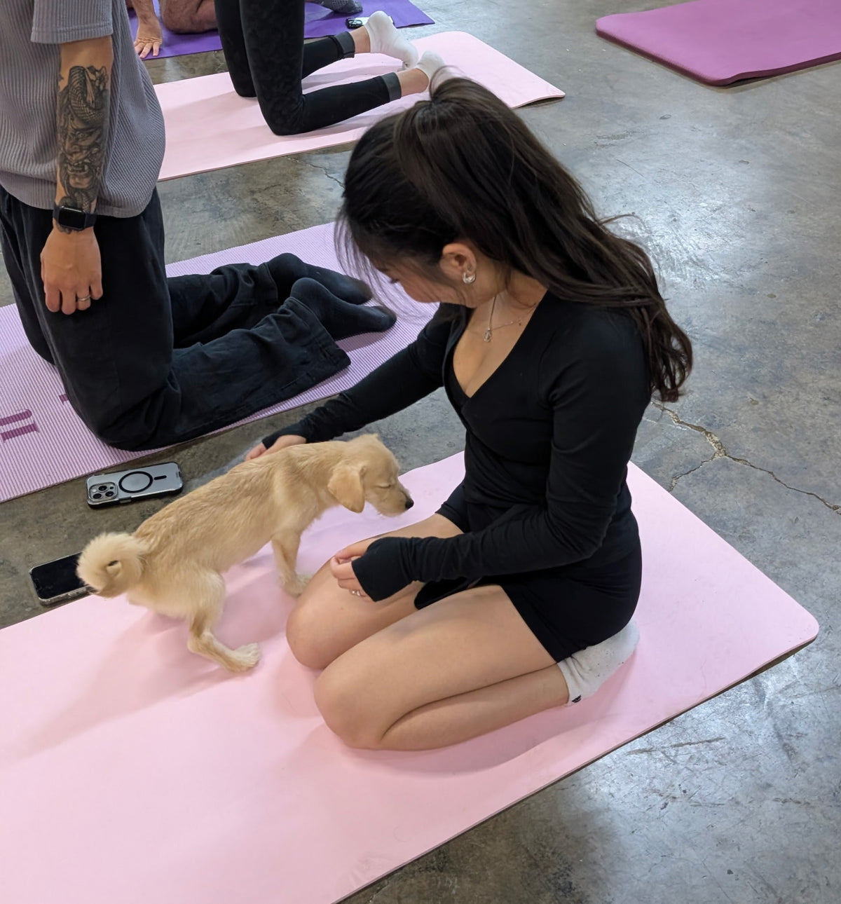 Rescue Puppy Yoga @ Bitter Sisters Brewing Company
