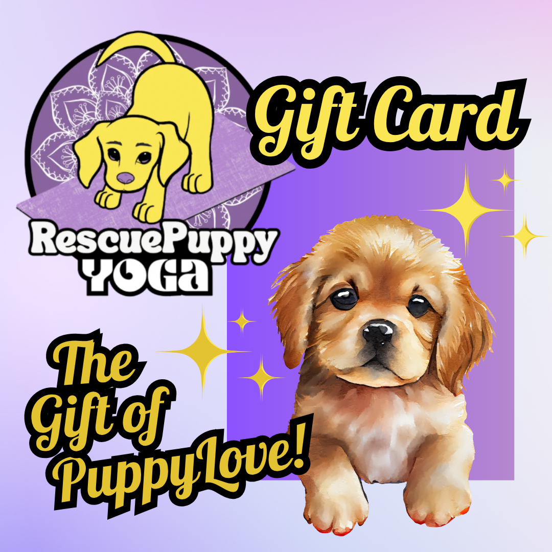 Rescue Puppy Yoga Gift Card