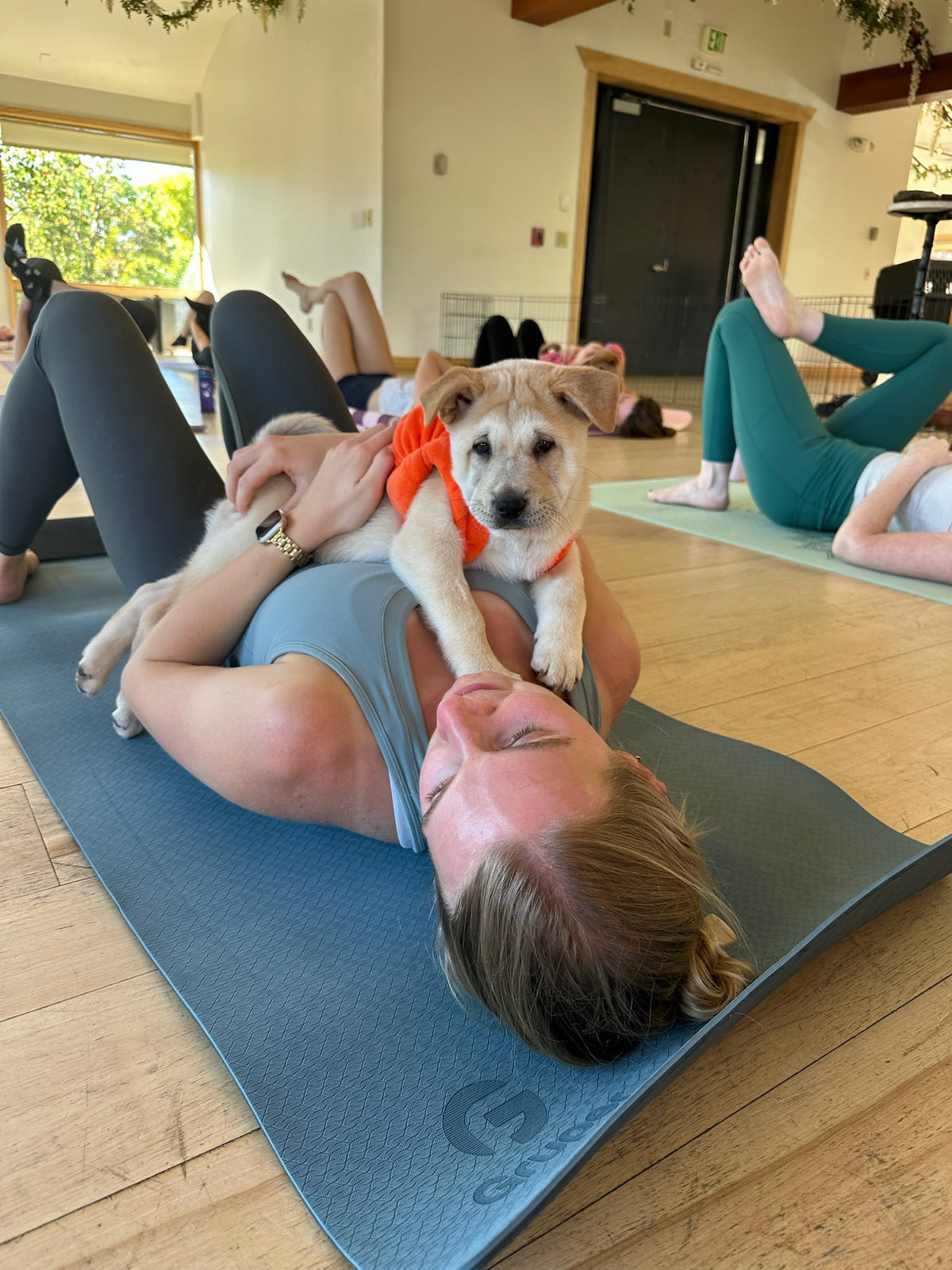Rescue Puppy Pilates Halloween @ Epicenter For The Arts with BodyBar