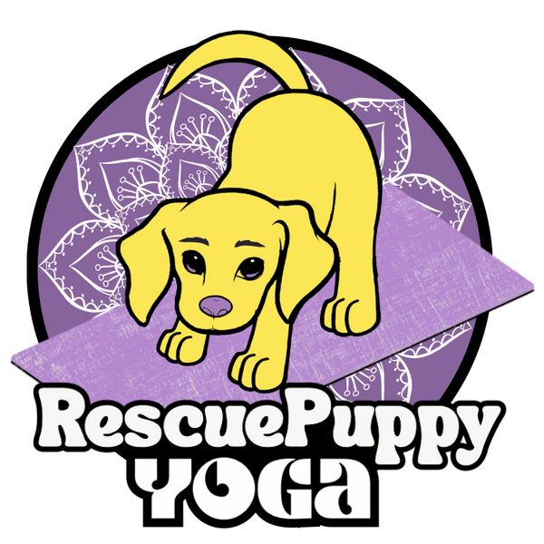 Rescue Puppy Yoga Texas