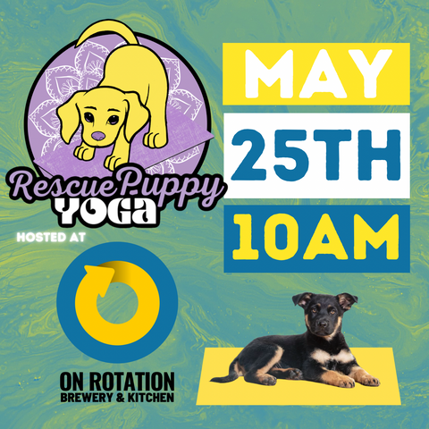 Rescue Puppy Yoga @ On Rotation Brewery