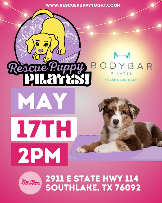 Rescue Puppy Pilates @ Epicenter For The Arts with BodyBar