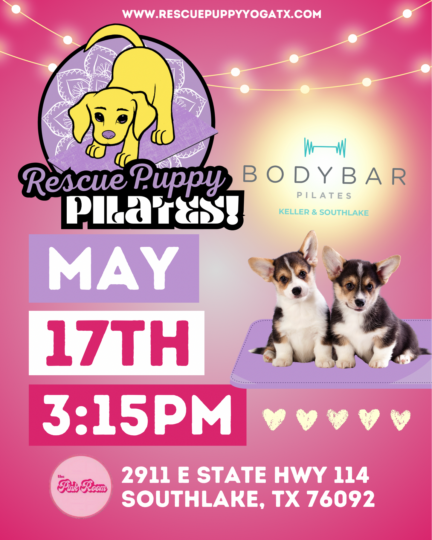 Rescue Puppy Pilates @ Epicenter For The Arts with BodyBar