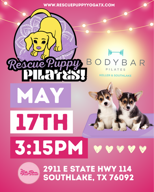 Rescue Puppy Pilates @ Epicenter For The Arts with BodyBar