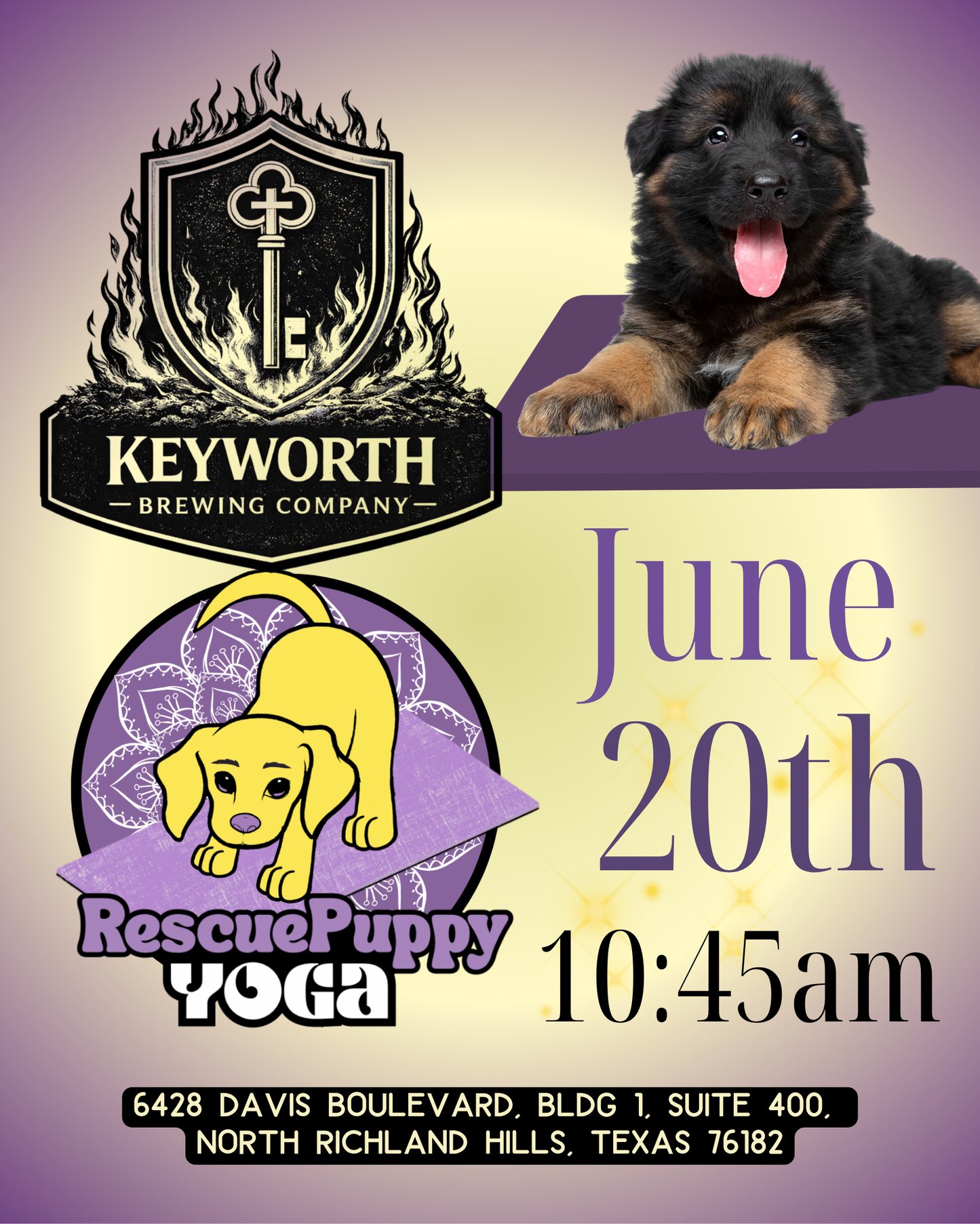 Rescue Puppy Yoga @ Keyworth Brewing Company