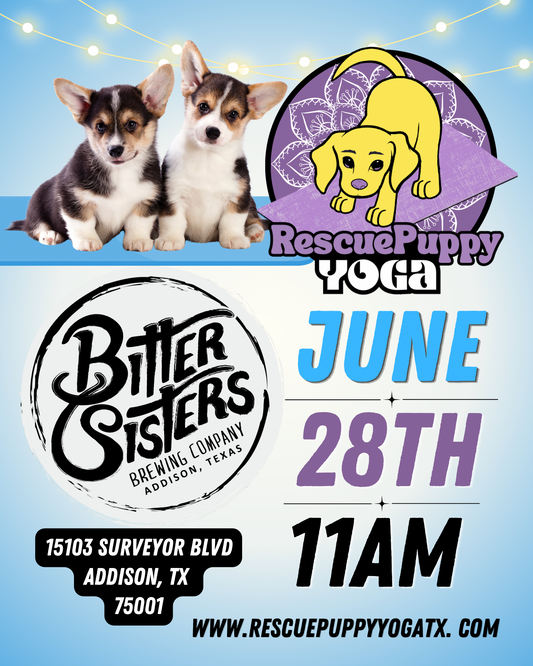 Rescue Puppy Yoga @ Bitter Sisters Brewing Company