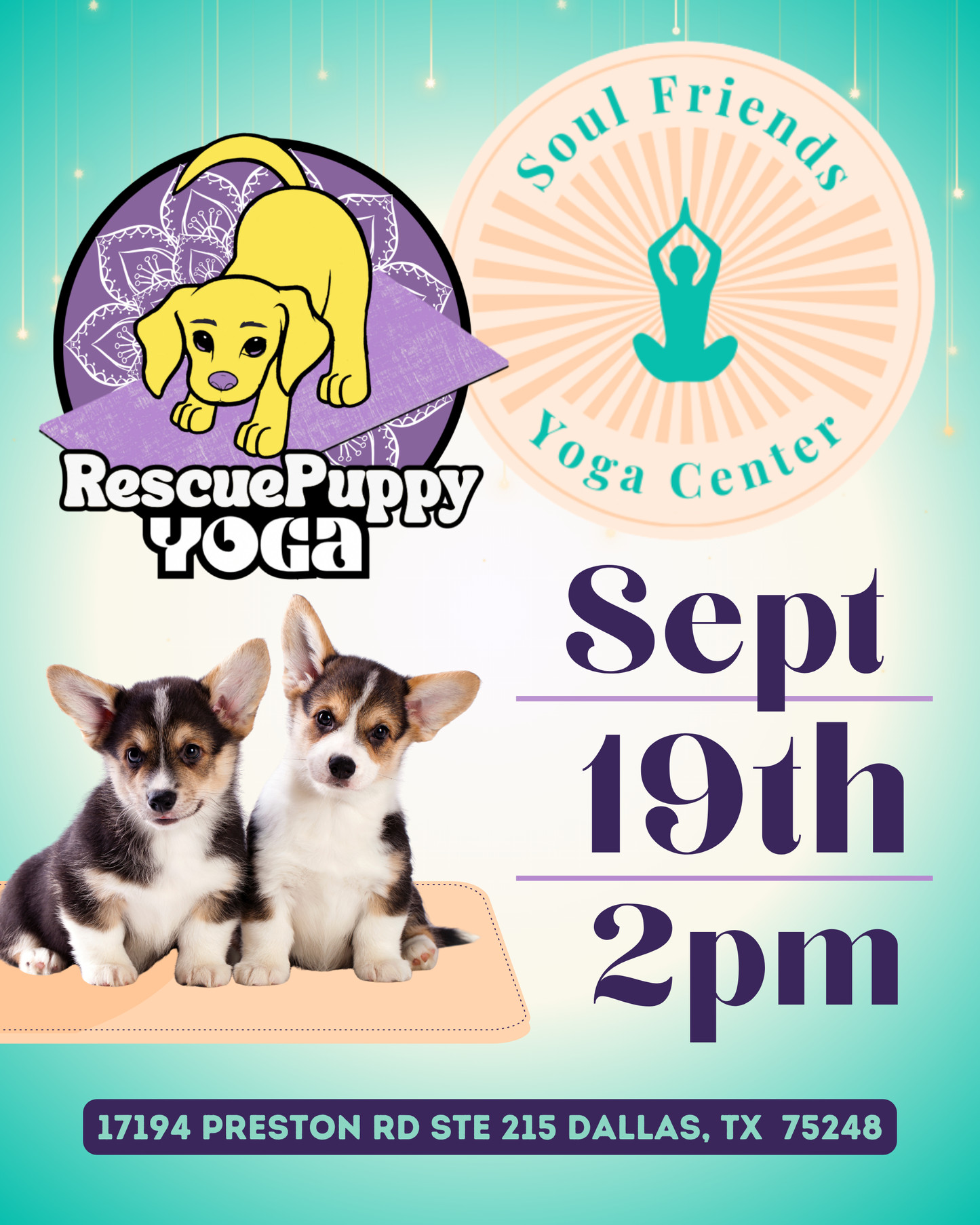Rescue Puppy Yoga @ Soul Friends Yoga