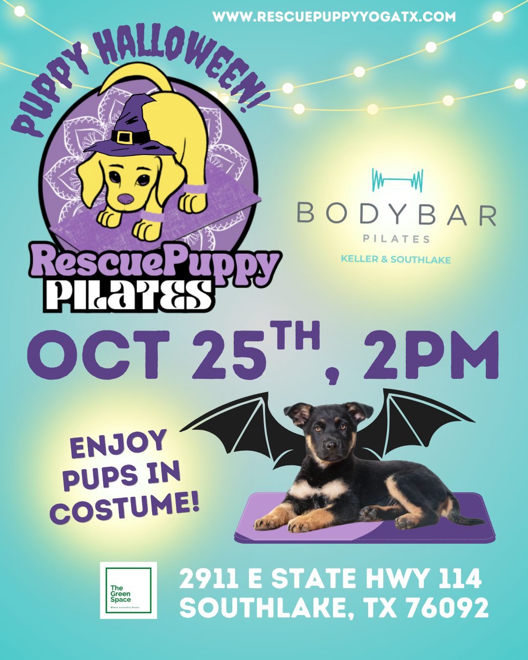 Rescue Puppy Pilates @ Epicenter For The Arts with BodyBar