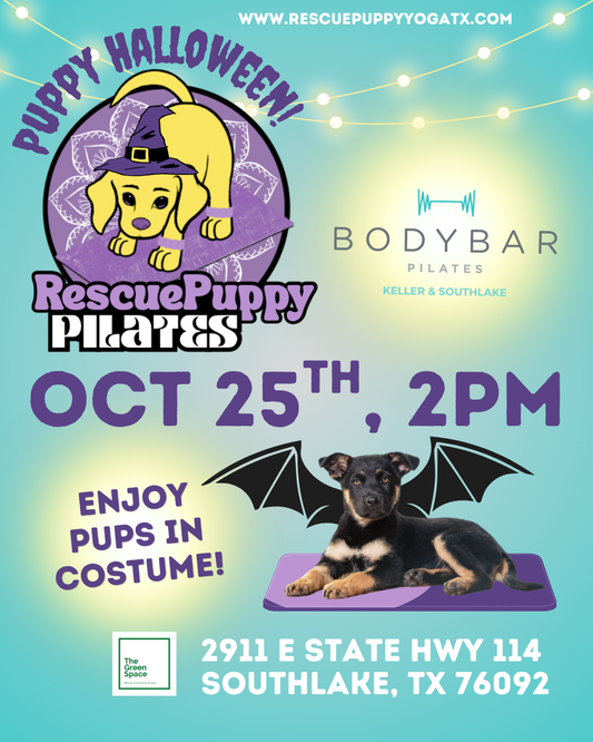 Rescue Puppy Pilates @ Epicenter For The Arts with BodyBar