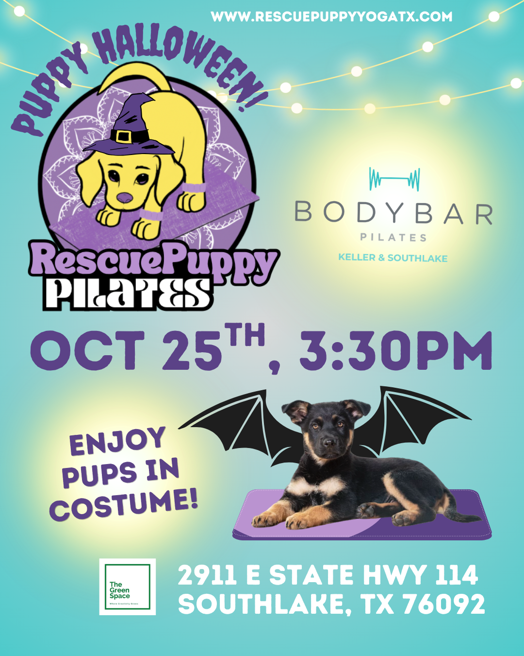 Rescue Puppy Pilates @ Epicenter For The Arts with BodyBar