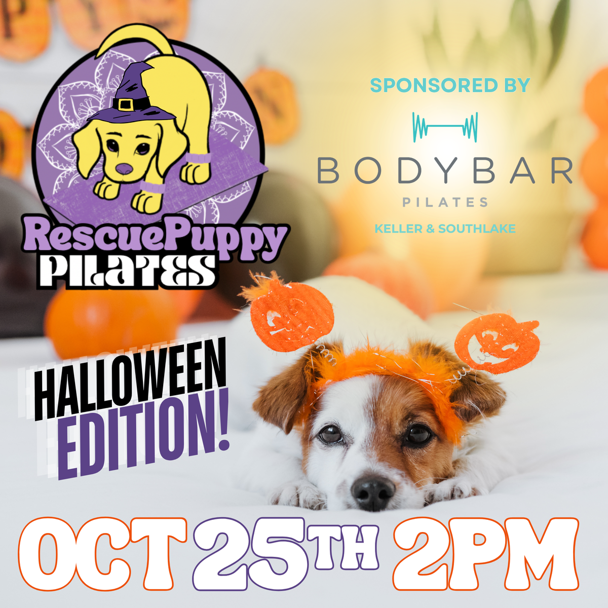 Rescue Puppy Pilates Halloween @ Epicenter For The Arts with BodyBar