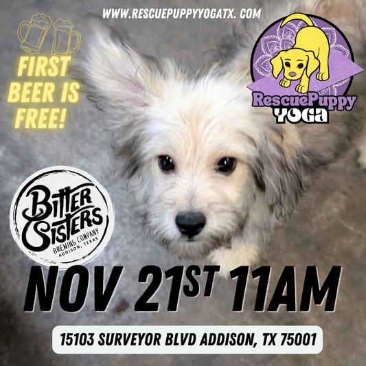 Rescue Puppy Yoga @ Bitter Sisters Brewing Company