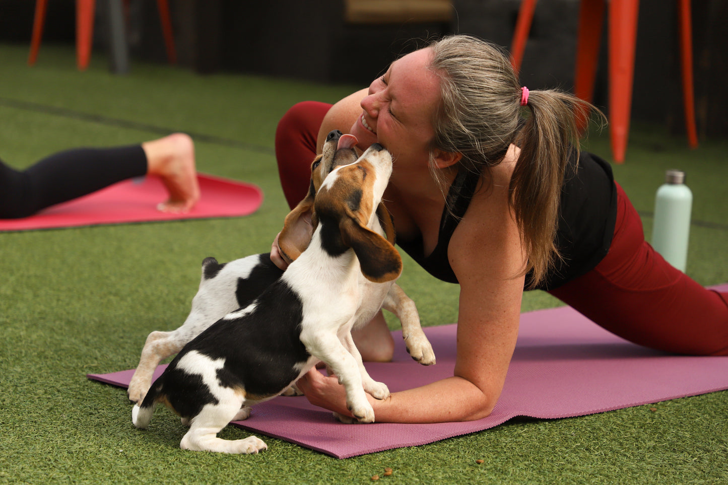 Rescue Puppy Yoga @ On Rotation Brewery
